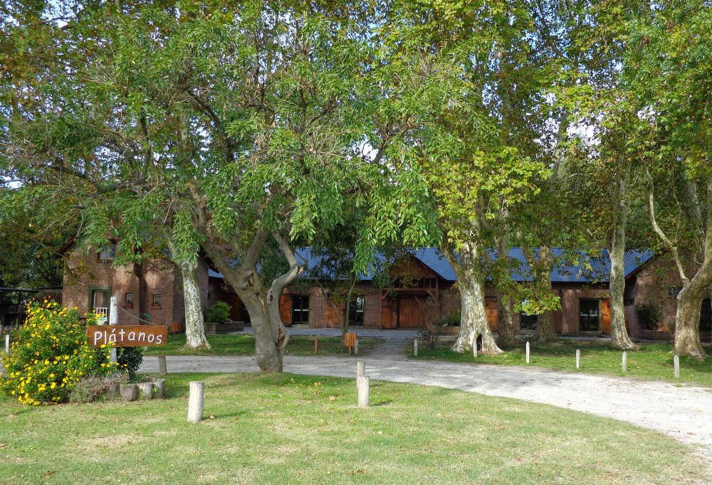 Galería
