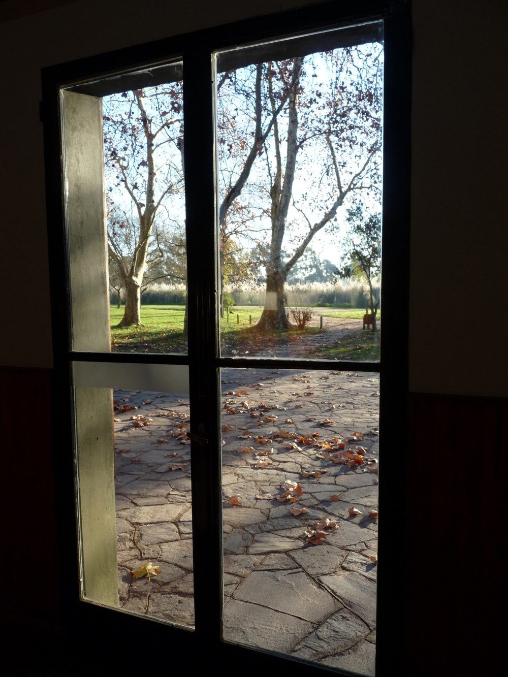Galería
