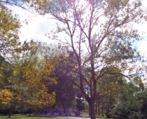 Galería Área de PICNIC