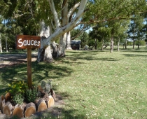 Galería Sauces