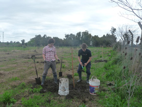 A-Bosque-San-Andrés