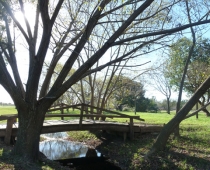 Galería Puentes para cruzar