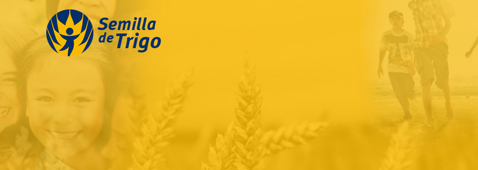 Semilla de Trigo en Argentina